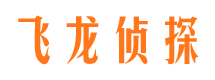 柳南市侦探